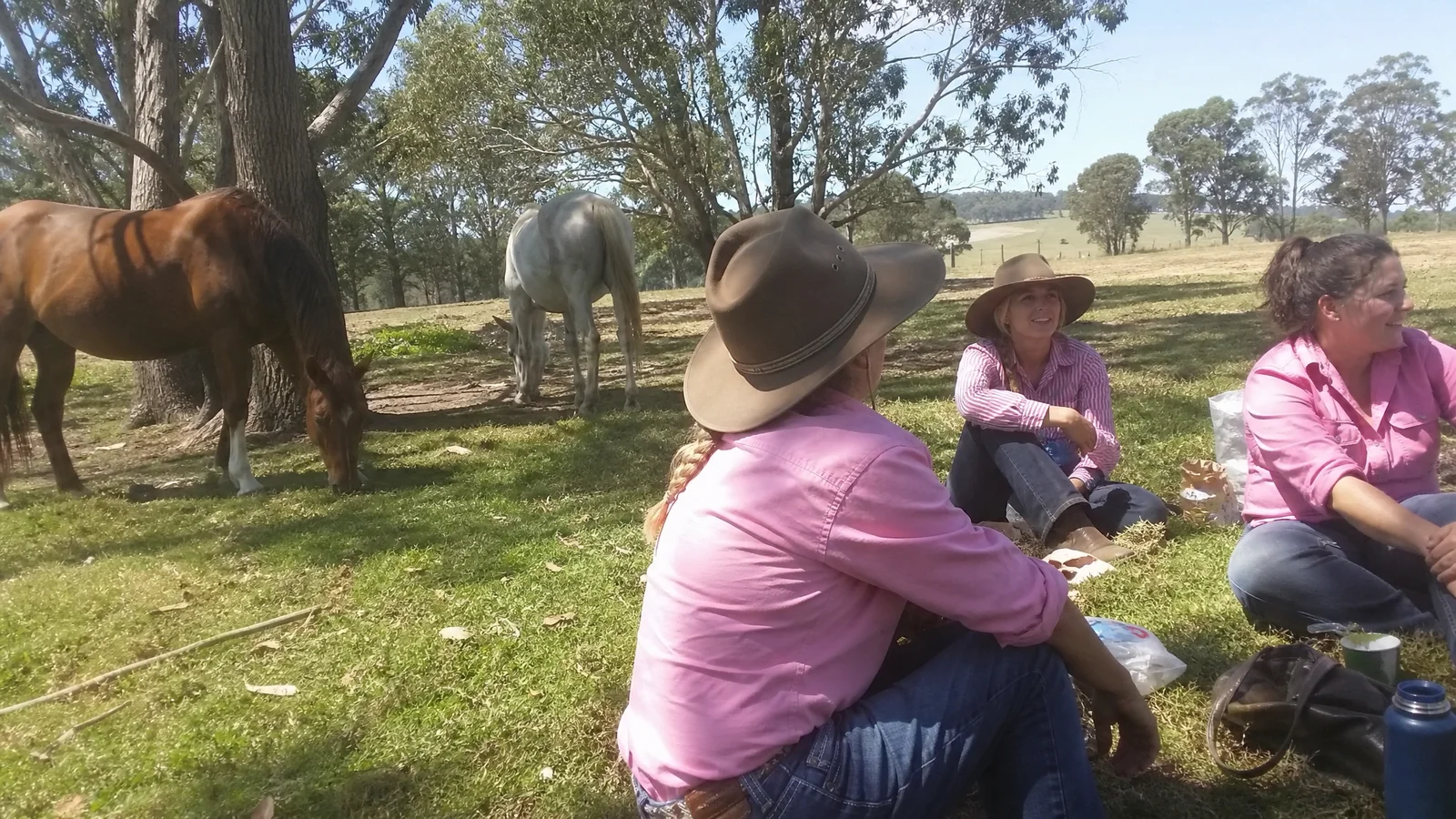 A small group of women sitting quietly together near the herd under gum trees, warm and unforced