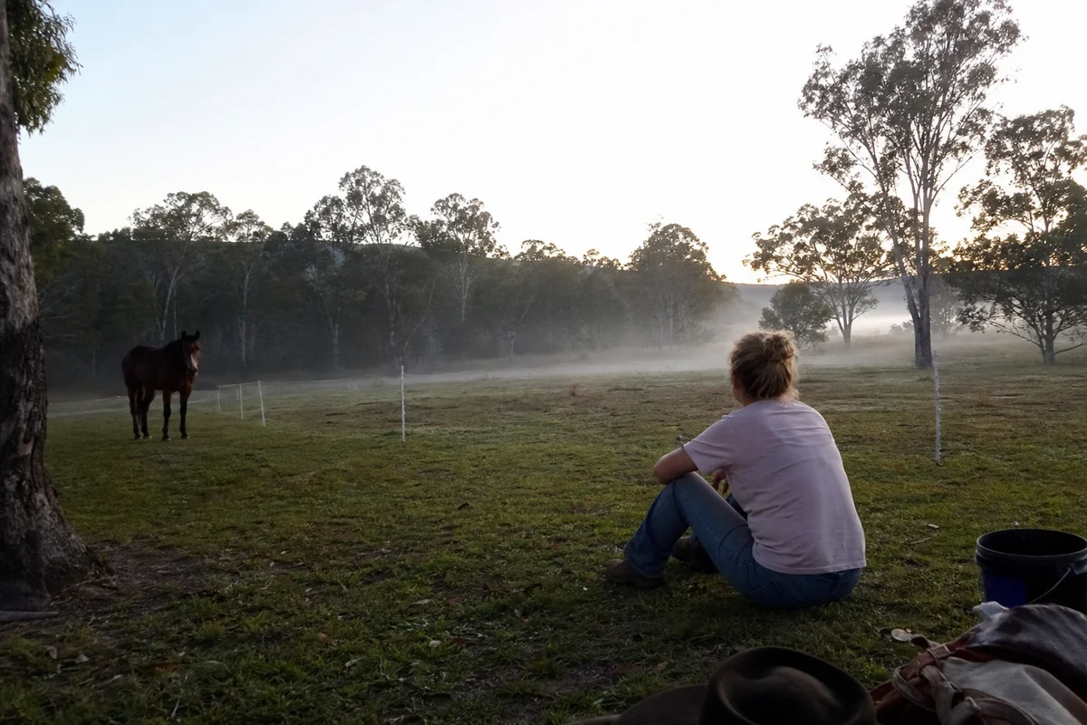A solo guest alone in a paddock at dawn, private and still, one horse nearby