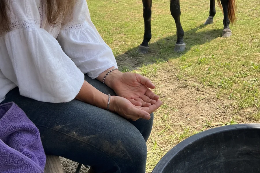 Reiki at Eureka Pines