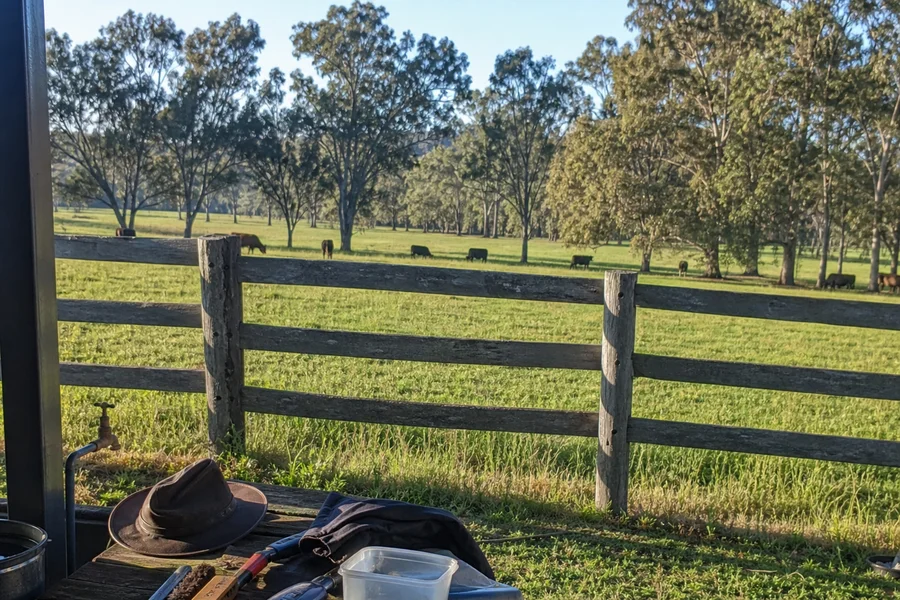 Somatic Healing at Eureka Pines