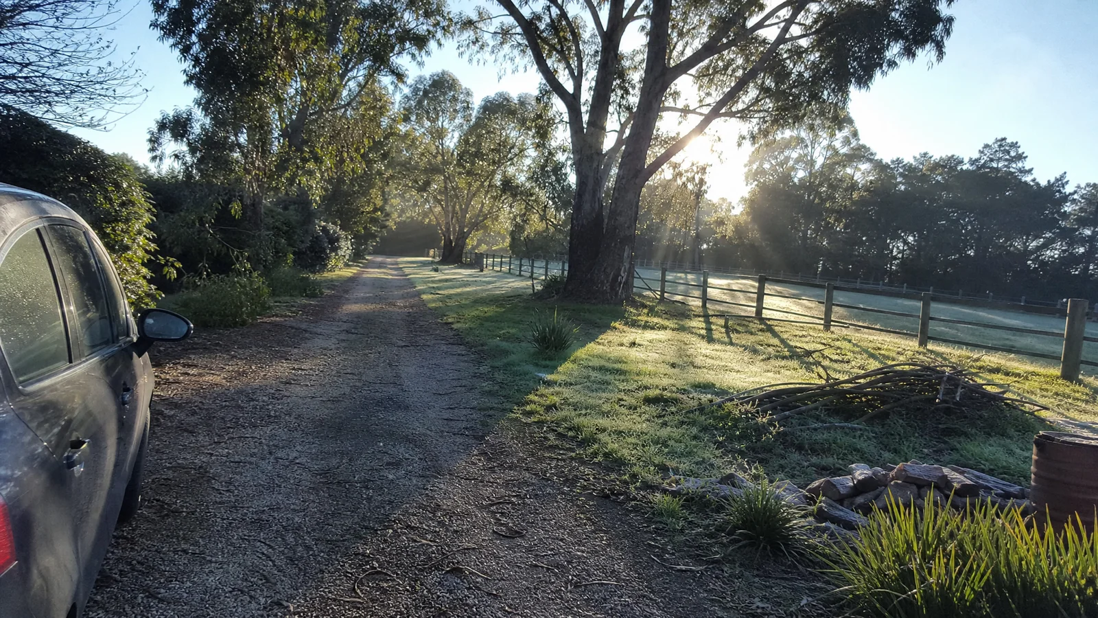 Frosted morning at the Eureka Pines driveway, sunlight through gum trees, sense of arrival