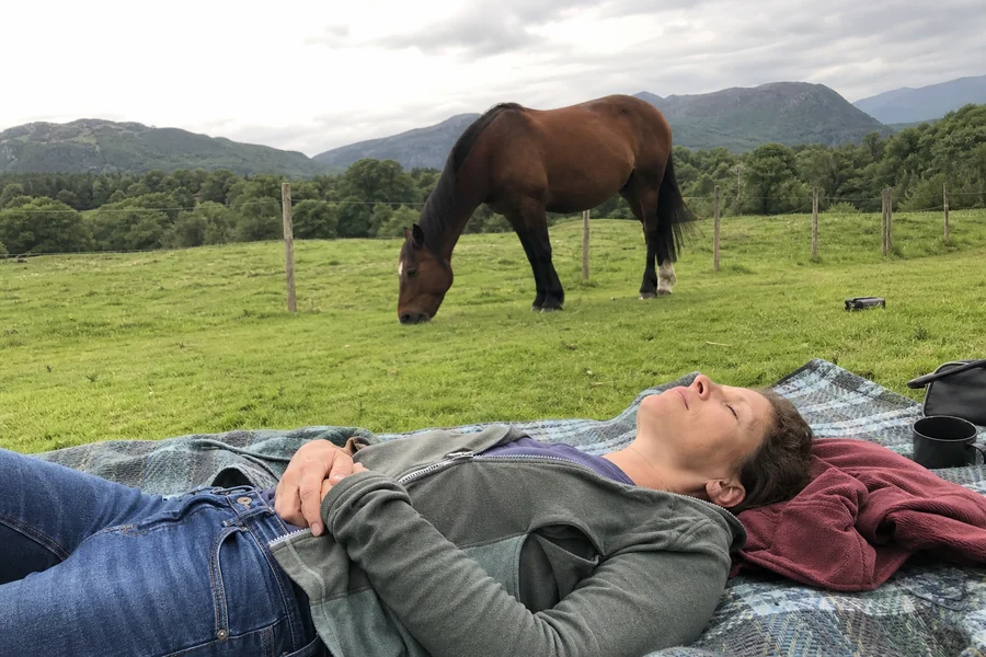Reiki at Eureka Pines