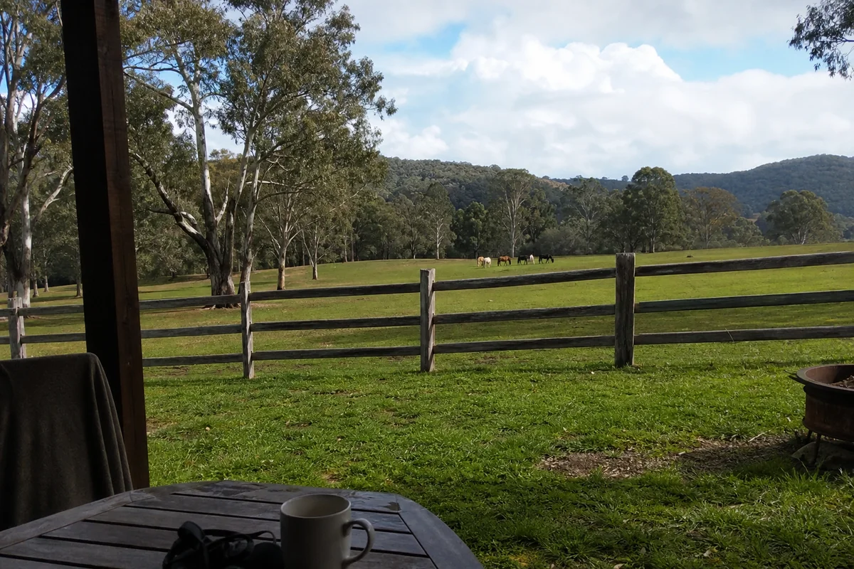 Small free-roaming herd grazing at a distance in a green cool-climate paddock, timber farm fence in foreground