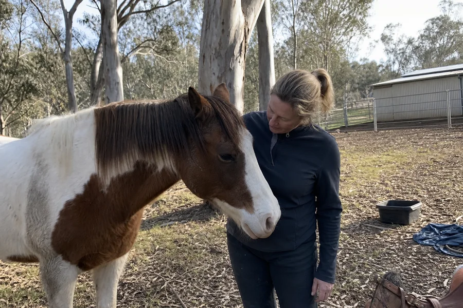 Soo standing calmly beside a brown and white horse in a cool morning paddock