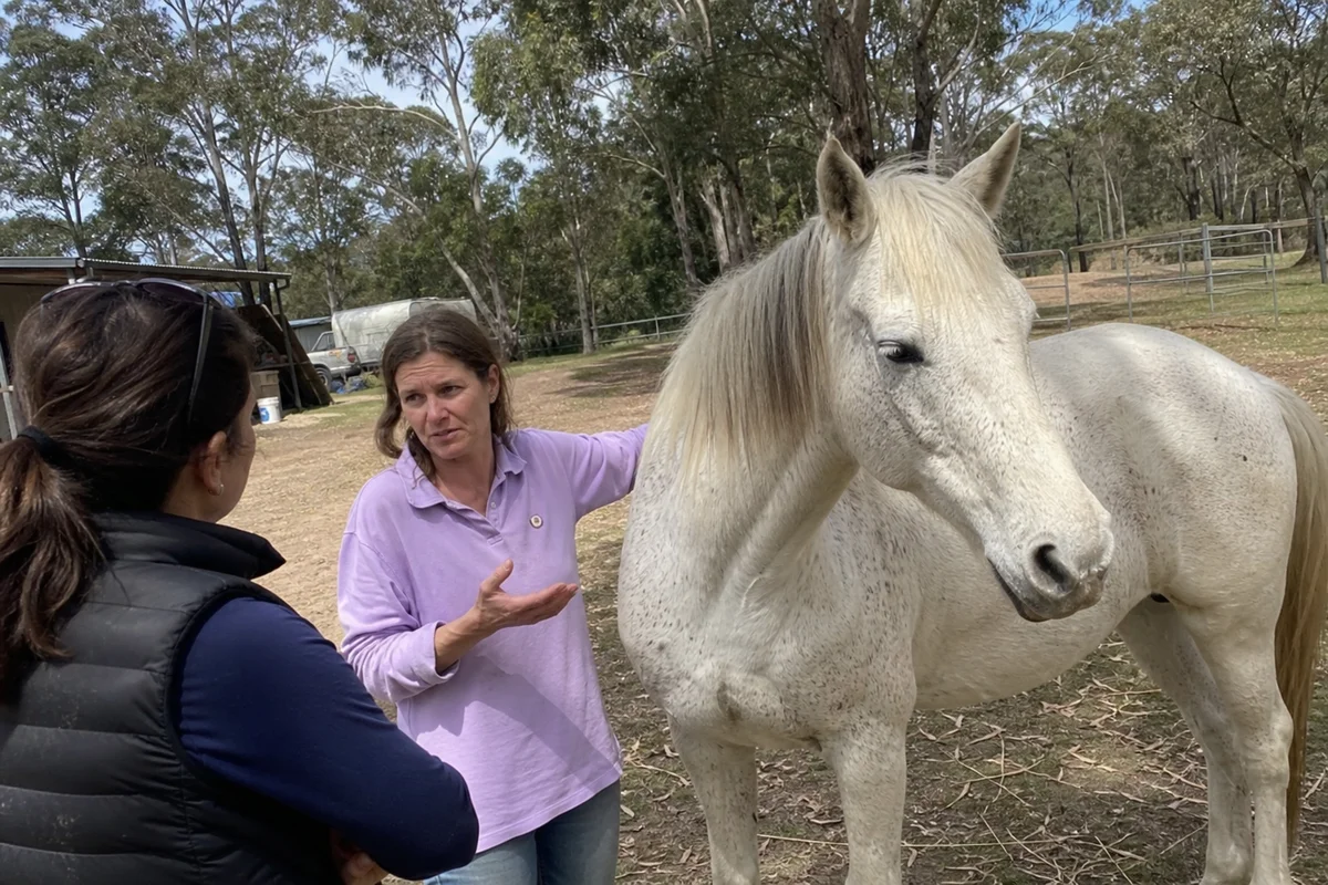 Soo talking quietly with a guest beside a horse, unhurried conversation, natural light