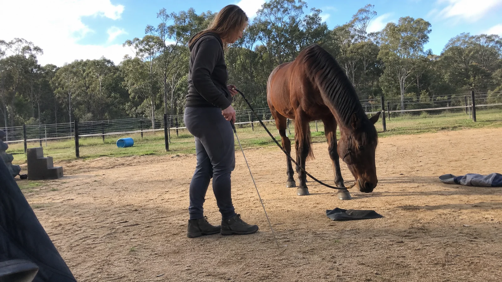 Two quiet scenes side by side — a person doing ground-based work with a horse, and a person resting in the paddock