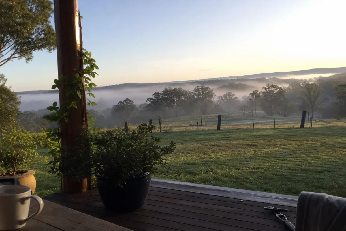 Wide calm landscape of the Southern Highlands sanctuary at dawn, fog over paddocks and eucalypts, sense of spaciousness