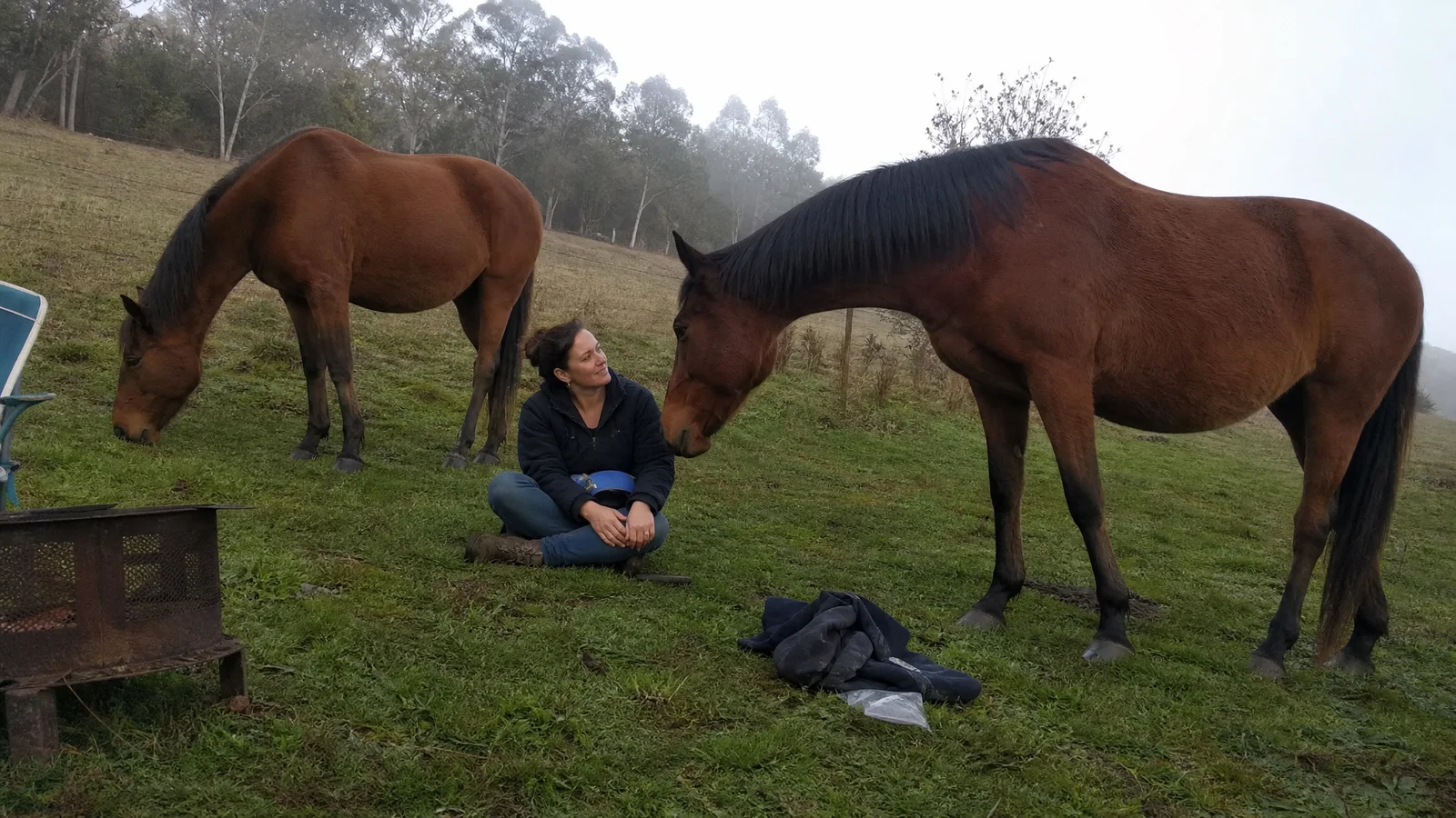 Woman sitting calmly on the grass beside loose horses in an open Southern Highlands paddock, morning fog, eucalypt treeline